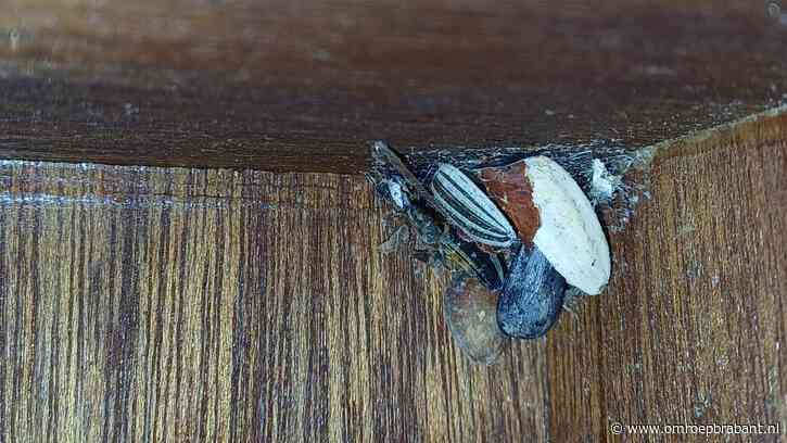 Deze foto stelde Frans voor een raadsel, maar hij vond het antwoord