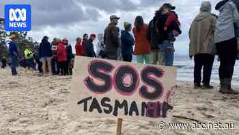 Premier again backs salmon farms as protesters visit site of dead fish wash up