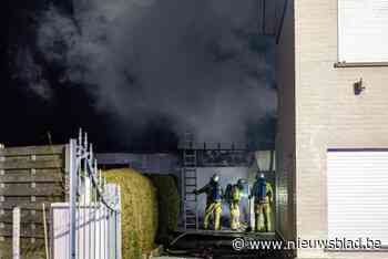 Dubbele garage en berging in de as gelegd door hevige brand, bewoner brengt zelf voertuig in veiligheid