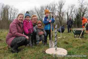 Jonge gezinnen planten boompjes in geboortebos