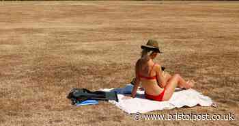 Freezing Brits given hope of heatwave as bookies slash odds from this date