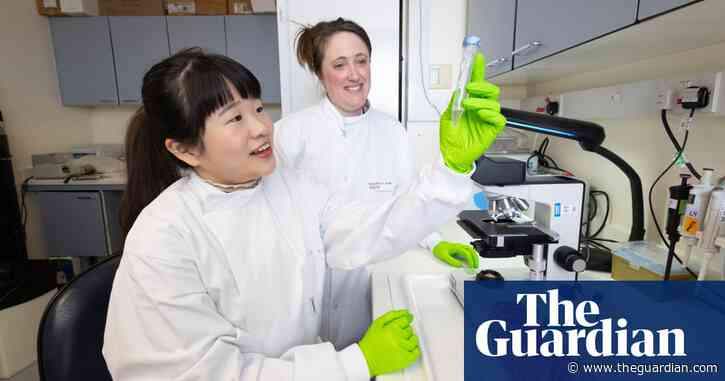 Animal poo can be used to save endangered species from extinction, research finds