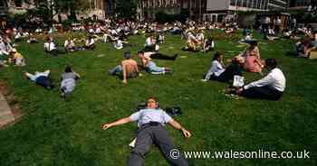 Freezing Brits given hope of heatwave as bookies slash odds from this date