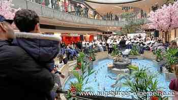 Viele ungewöhnliche Begegnungen mit Mozart