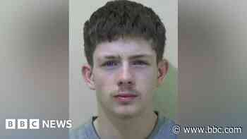 Teenager strangled and stabbed girlfriend