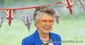 Why is Prue Leith is not on Celebrity Great British Bake Off as replacement makes debut
