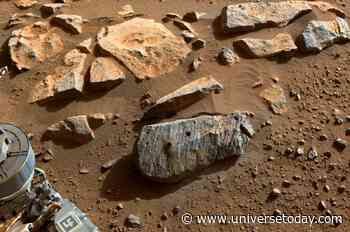 If Mars Samples Contain Life, Can We Detect It?