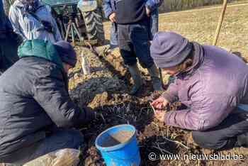 Hier herleeft de hopcultuur: schepenen oogsten hopkeesten aan abdij