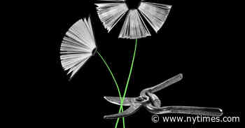 The Authoritarian Endgame on Higher Education