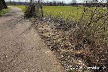 Stefan (52) uit Lummen overleden na tragisch ongeval met zijn tractor: “Rijden met de tractor was alles voor hem”
