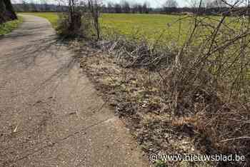 Stefan (52) overleden na tragisch ongeval met zijn tractor: “Rijden met de tractor was alles voor hem”