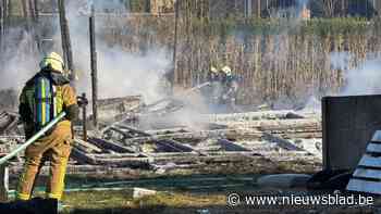 Hevige brand legt oud scoutslokaal in Oelegem in de as: "Geen gewonden"