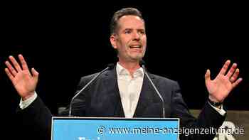 Dürr will FDP-Parteichef werden