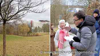 „Den Park abzuholzen, wäre ein Frevel“: Erneut deutliche Kritik am Uniklinik-Neubau