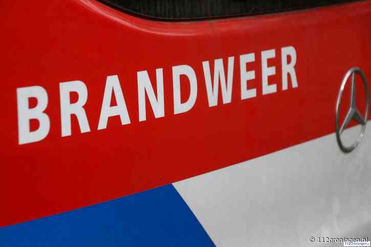 Coniferen in brand gestoken in Delfzijl-Noord