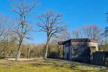 Das Giraffenhaus bekommt zeitweise neue Bewohner