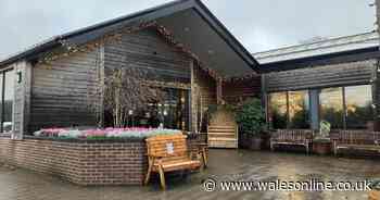 Welsh garden centre named the best in the UK
