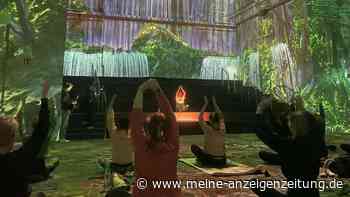 Yoga in einzigartiger Kulisse: Beliebtes NRW-Ausflugsziel hat besonderes Angebot