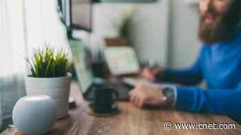 I Asked Voice Assistants Like Alexa and Siri Home Safety Questions. Here's What I Learned