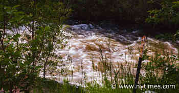 Are We Crazy to Cross Such a Treacherous River?