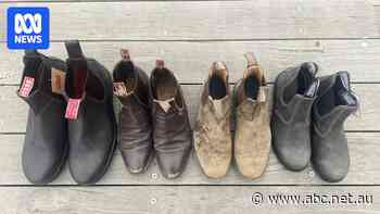 'RM Williams should be embarrassed': Bootmaker hits back at YouTube critique