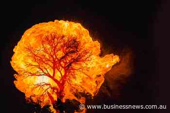 Revising calculations on climate costs