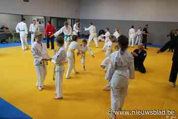 Familiedag bij ju-jitsu Damoi-Kwaï: “Vechten is een woord dat hier nooit valt”