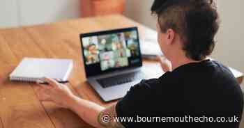 Online event to explore Studland Bay's marine ecosystems