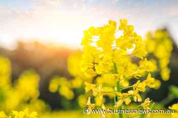 EU joining the trade barriers club