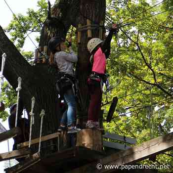 Voorjaarsactiviteit voor jonge mantelzorger(s): Klimbos
