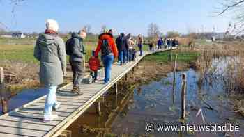Vernieuwd natuurgebied Barebeekvallei geopend: “Met versterkte biodiversiteit en toegankelijk voor iedereen”