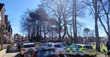 Man seen with blood down jumper after pair stage random attack