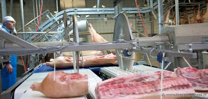 Danish Crown financiert stallen tegen varkenstekort