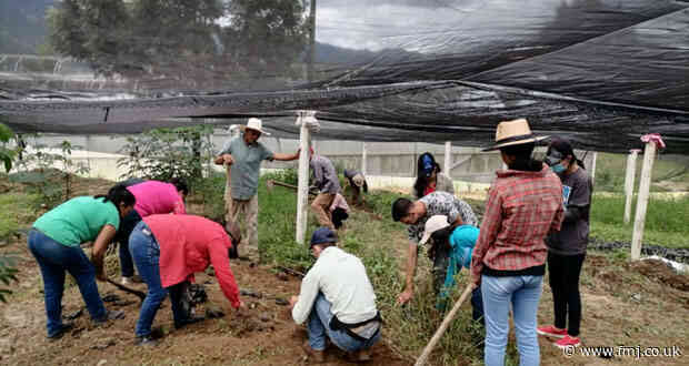 Angel Hill Food Co. giving back to coffee growers in Honduras