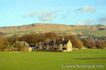 Farms waiting years to get planning permission, analysis shows