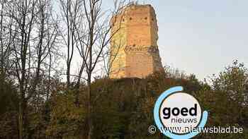 Inwoners mogen een nieuwe naam kiezen voor boomgaard aan Burcht van Brustem