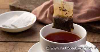 Expert shares 90p tea hack that improves your garden's health and deters pests