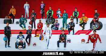 Nimm jetzt teil an der weltweiten F1-Fan-Umfrage!