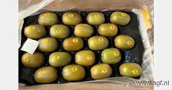 "Volgend jaar rode kiwi onder merknaam Kiupi op de markt"