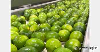 "Colombiaans fruit timmert aan de weg in Europa"