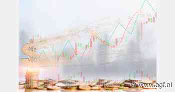 "Wen maar aan de hoge prijzen, ze gaan niet meer omlaag"