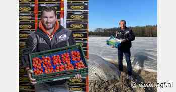 "Veelbelovend voorseizoen asperges; groot aanbod Italiaanse aardbeien maakt start kasaardbeienseizoen lastig"