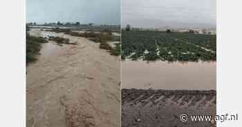 "Spaans noodweer levert nu grootste problemen op bij bladgewassen, maar ook aanplant watermeloenen is een zorg"