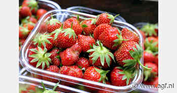 Clandestien aardbeienpakstation opgedoekt in Huelva