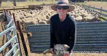 Time for federal backing to get footrot vaccine approved, producers say