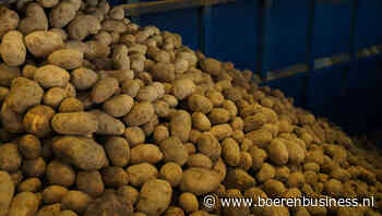 DCA Potato Index voor eerst sinds kerst onder 20 euro