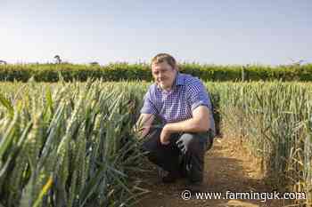 'Do not wait': Agronomist offers advice after cancer diagnosis at 42