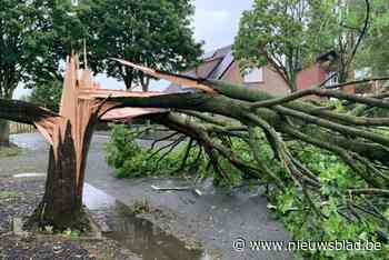 Extreme weersomstandigheden van vorige zomer erkend als ramp