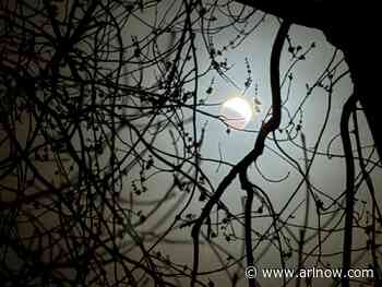 Morning Notes for March 17, 2025