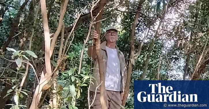 The one change that worked: I got out of my car in the middle of my commute and sat under the trees